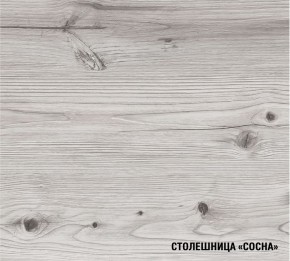 АСАЯ Кухонный гарнитур Экстра (3000 мм) в Озёрске - ozyorsk.mebel-74.com | фото