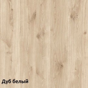 Эйп Шкаф для одежды 13.334 в Озёрске - ozyorsk.mebel-74.com | фото