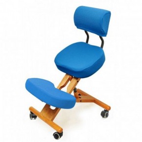 Коленный стул со спинкой Smartstool KW02В + Чехлы в Озёрске - ozyorsk.mebel-74.com | фото