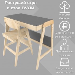 Комплект растущий стол и стул 38 попугаев «Вуди» (Серый, Без покрытия) в Озёрске - ozyorsk.mebel-74.com | фото