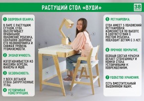 Комплект растущий стол и стул 38 попугаев «Вуди» (Серый, Без покрытия) в Озёрске - ozyorsk.mebel-74.com | фото