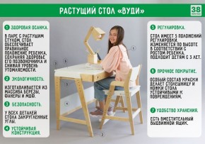 Комплект растущий стол и стул с чехлом 38 попугаев «Вуди» (Белый, Белый, Салют) в Озёрске - ozyorsk.mebel-74.com | фото