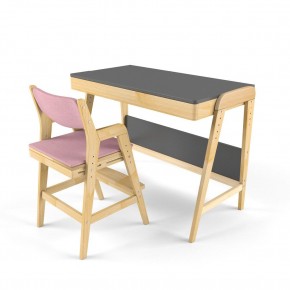 Комплект растущий стол и стул с чехлом 38 попугаев «Вуди» (Серый, Береза, Розовый) в Озёрске - ozyorsk.mebel-74.com | фото