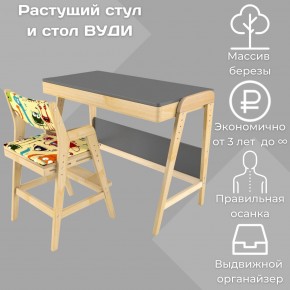 Комплект растущий стол и стул с чехлом 38 попугаев «Вуди» (Серый, Без покрытия, Монстры) в Озёрске - ozyorsk.mebel-74.com | фото