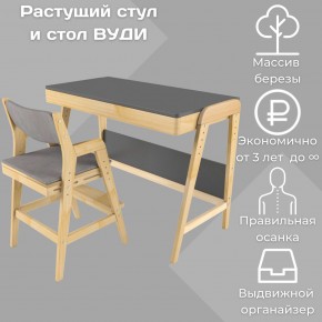 Комплект растущий стол и стул с чехлом 38 попугаев «Вуди» (Серый, Без покрытия, Серый) в Озёрске - ozyorsk.mebel-74.com | фото