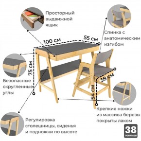 Комплект растущий стол и стул с чехлом 38 попугаев «Вуди» (Серый, Без покрытия, Серый) в Озёрске - ozyorsk.mebel-74.com | фото
