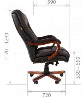 Кресло для руководителя CHAIRMAN  503 (Кожа) Черное в Озёрске - ozyorsk.mebel-74.com | фото