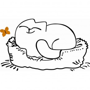 Кровать двухуровневая Кот № 900.1 ЛЕВАЯ (туя светлая/белый) в Озёрске - ozyorsk.mebel-74.com | фото