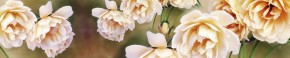 Кухонный фартук Цветы 066 МДФ матовый (3000) Flowers в Озёрске - ozyorsk.mebel-74.com | фото