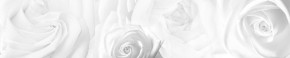 Кухонный фартук Цветы 217 МДФ матовый (3000) Flowers в Озёрске - ozyorsk.mebel-74.com | фото