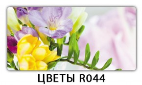 Обеденный раздвижной стол Бриз с фотопечатью Цветы R044 в Озёрске - ozyorsk.mebel-74.com | фото