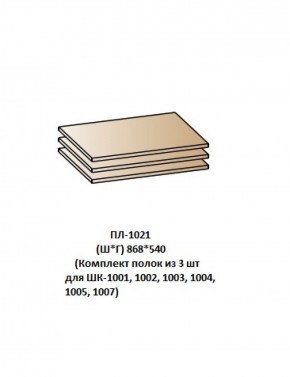 ПЛ-1021 (Комплект полок из 3 шт для ШК-1001, 1002, 1003, 1004, 1005, 1007) в Озёрске - ozyorsk.mebel-74.com | фото