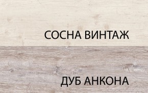 Шкаф 2D1SL, MONAKO, цвет Сосна винтаж/дуб анкона в Озёрске - ozyorsk.mebel-74.com | фото