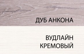 Шкаф 2DG, OLIVIA, цвет вудлайн крем/дуб анкона в Озёрске - ozyorsk.mebel-74.com | фото