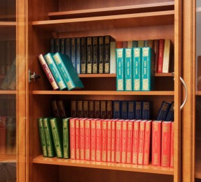 Шкаф для книг арт. 200 в Озёрске - ozyorsk.mebel-74.com | фото
