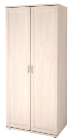 Шкаф для одежды 2-х дверный Ника-Люкс 21 в Озёрске - ozyorsk.mebel-74.com | фото