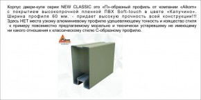 Шкаф-купе 1700 серии NEW CLASSIC K6Z+K6+B2+PL3 (2 ящика+2 штанги) профиль «Капучино» в Озёрске - ozyorsk.mebel-74.com | фото