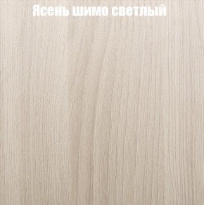 Шкаф-купе «ТАНДЕМ» 2-х дверный в алюминиевом профиле (Дверь К+К) 1200/h2200 в Озёрске - ozyorsk.mebel-74.com | фото