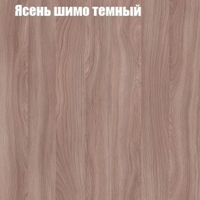 Шкаф-купе «ТАНДЕМ» 2-х дверный в алюминиевом профиле (Дверь ЛДСП+ЛДСП) 1800/h2200 в Озёрске - ozyorsk.mebel-74.com | фото