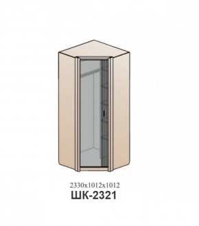 Шкаф ШЕР Дуб серый/айронвуд серебро (ШК-2321) в Озёрске - ozyorsk.mebel-74.com | фото