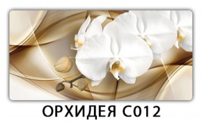 Стол раздвижной Трилогия с фотопечатью Доска D110 в Озёрске - ozyorsk.mebel-74.com | фото